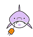 Shark Lost Connection